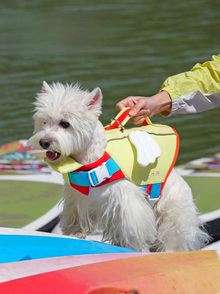 犬を飼う初心者に、夏の水辺で安心できる「救命ベスト」はどれがおすすめ？