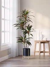 フェイク植物 リビングに適した 鉄製の小葉赤縁偽木 現代的なラグジュアリー 装飾品