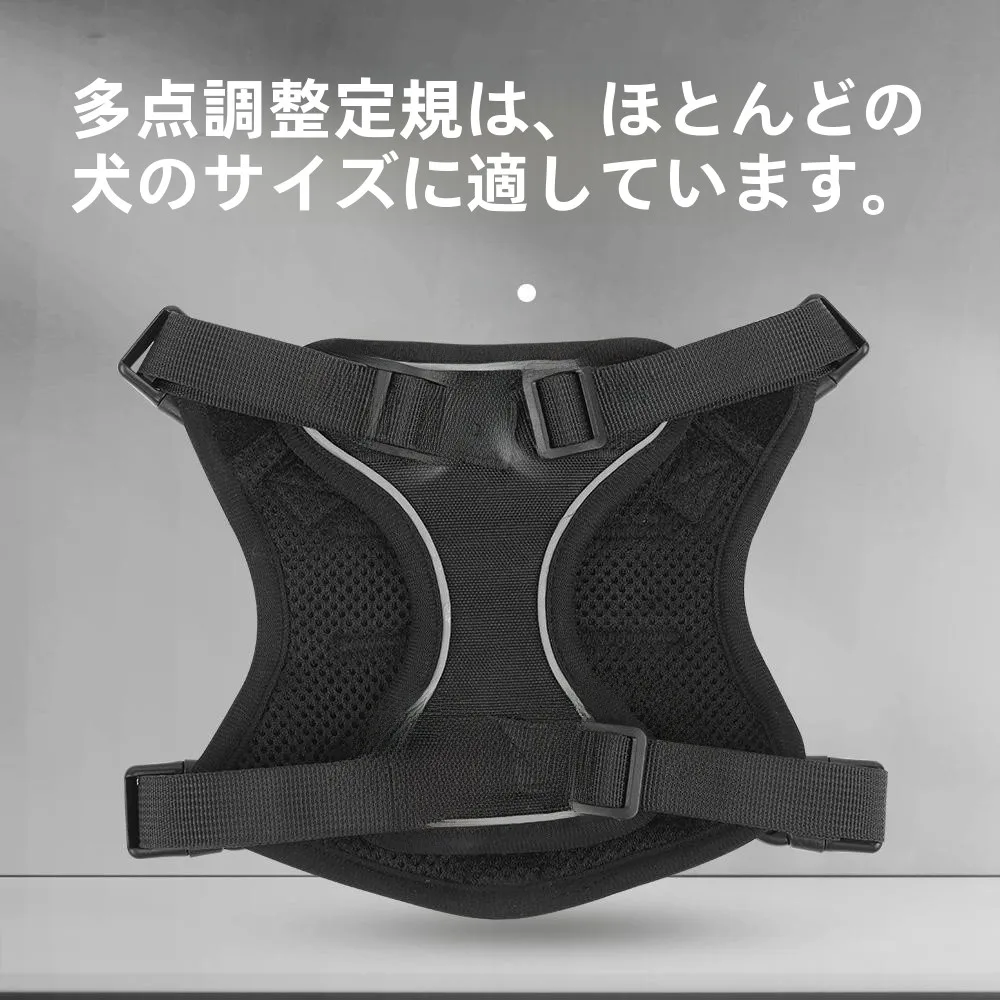 犬のお散歩グッズをコスパ良く揃える方法｜タクティカルハーネスの実測ガイド