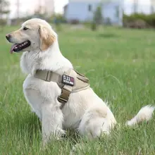 犬用トレーニングハーネス【中大型犬対応・K9タイプ】（セットアップ対応）