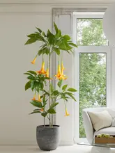 大きな立てかけ式 偽の植物 インテリア装飾 ポット 満トロ 客間 ウィンドウ 偽植物 盆栽 造景 装飾品