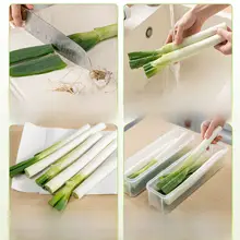 食材を整理できる葱保存ボックス【食品グレード・冷蔵庫用・ネギ・香菜対応】