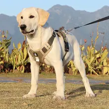 調整可能なハーネス式リード【中大型犬用・ゴールデンレトリバー・ラブラドール対応】