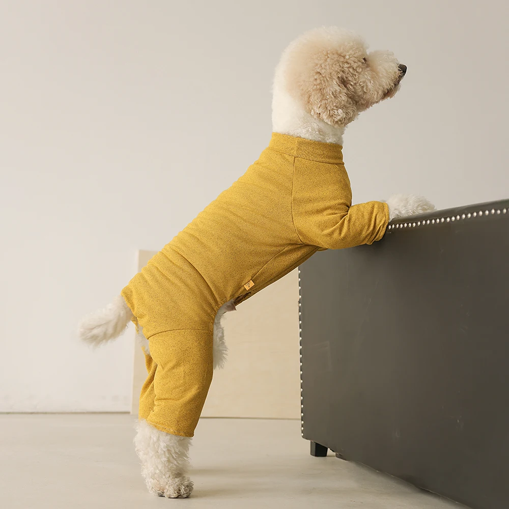 大型犬の服をどう選ぶ？実は「四脚ジャケット」が秋冬の暮らしを彩る