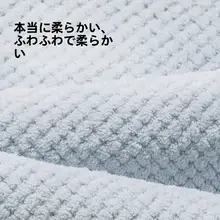 洁丽雅 パイ  ナップルチェックタオル【家庭用・ソフト・吸水性・大判・男女兼用】