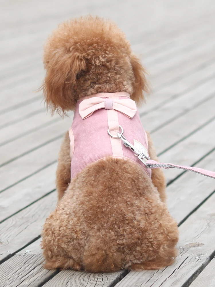 小型犬用背中式ハーネス：PETa ne1が散歩時の負担軽減を実現
