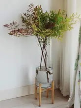 透明ガラスフラワーベース【100cm・直筒・おしゃれなリビング用・水培対応】