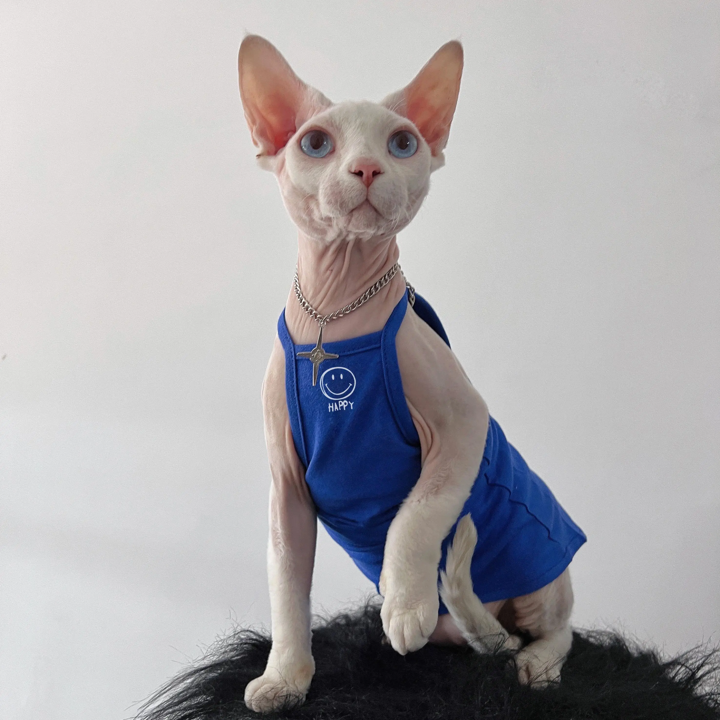 猫tシャツを選ぶときに迷うのは、デザインと質のバランスってどこ？