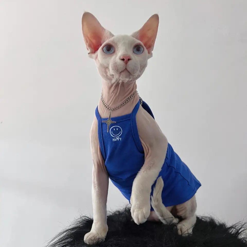 夏用薄手コットン製フレンチトーストデザインの猫用タンクトップ【インスタ風・スフィンクス猫用】