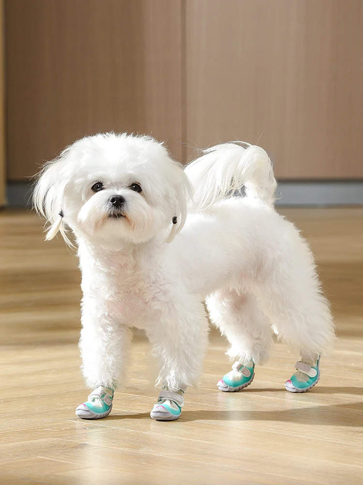 犬のお散歩グッズをコスパ良く揃える方法　完全ガイド：防水靴の実用性と選び方