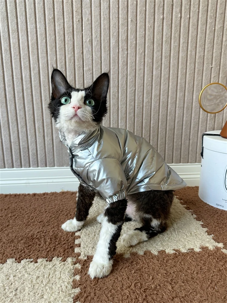 猫飼いが買ってよかったもの・悪かったもの正直に言う - 冬用中綿ジャケットの保温性とフィット感