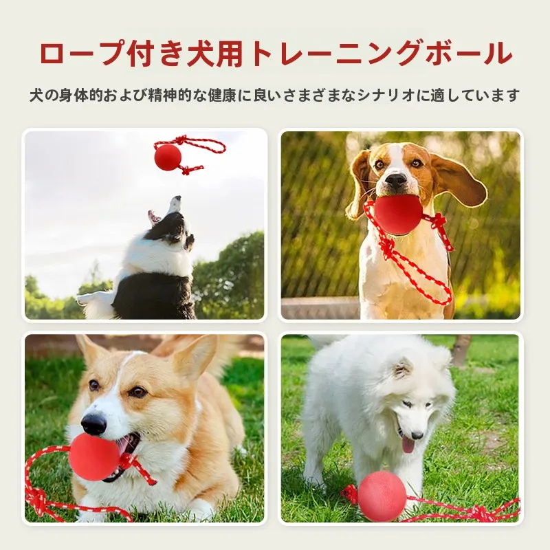犬用おもちゃボール：耐噛性と歯磨き機能で長く遊べる小型犬向けゴム製商品