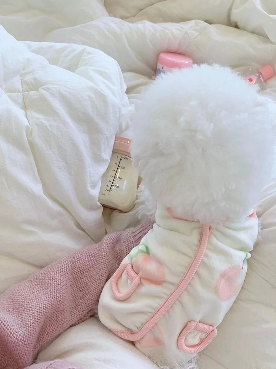 チワワ 服 xxs に合う水蜜桃風ベビーポケットベストのフィット感と実用性
