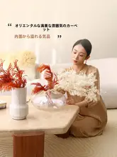防水加工の高級感あるラグ【クリームカラー・リビング・寝室用】