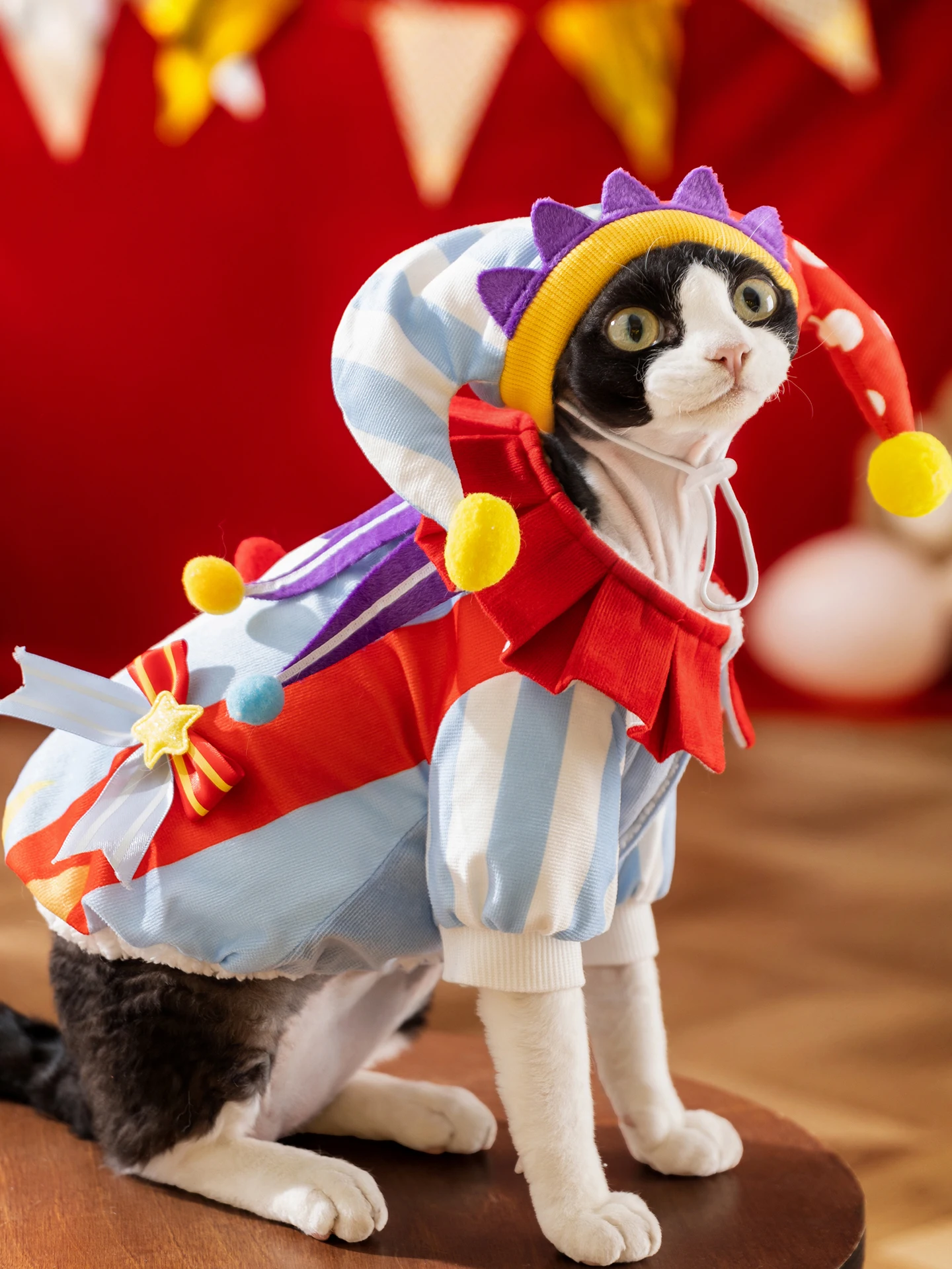 シーバ猫とは？4選のアイテムで暮らしの便利さを再発見する方法
