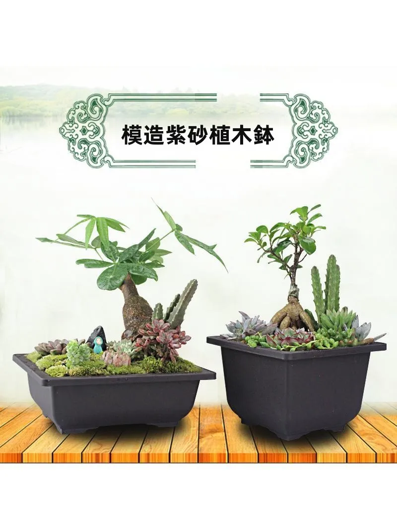 盆栽趣味を楽しむには、どんな鉢がおすすめ？