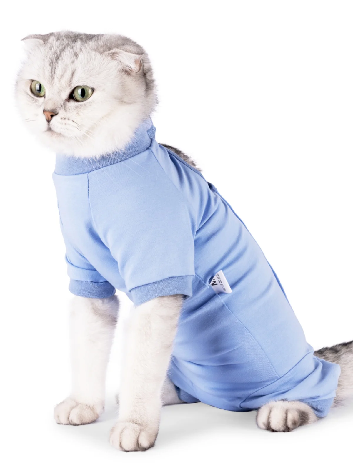 猫飼いが買っ てよかったもの・悪かったもの正直に言う｜術後服の選び方と実際の効果徹底解説