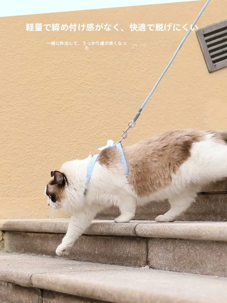 猫飼いが買ってよかったもの・悪かったもの正直に言う：猫用ハーネスの安全設計と脱出防止