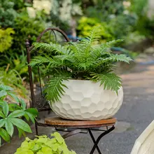 北欧風 グリーン植物用インテリアフラワーポット【モンステラ・バードオブパラダイス・シンプルデザイン】