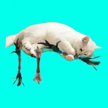 猫用おもちゃ【羽根付き・噛みごたえあり・ミント配合】