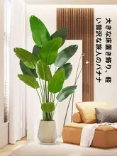 バナナの木 偽植物 屋内 リビング 大型 鉢植え 装飾 木 高級感