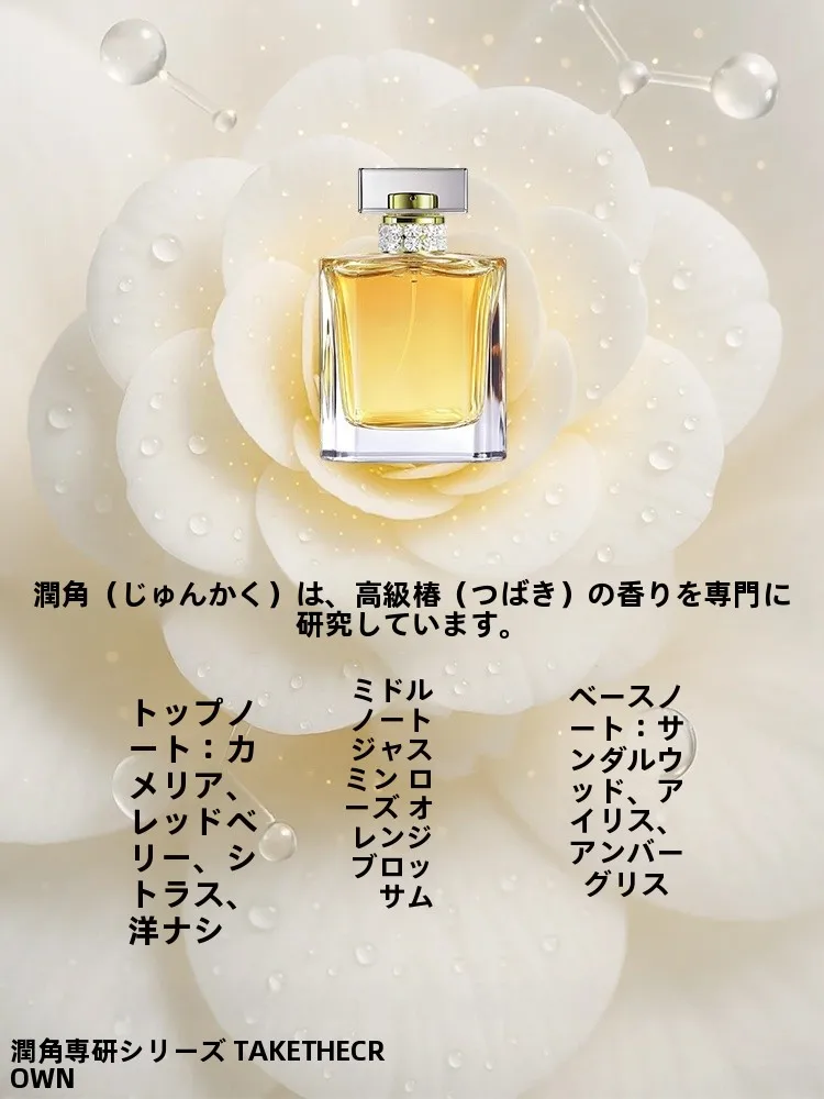 おすすめインソールとしての吸汗・防臭ソフトインソール【至皓恩】の実用性と使用シーン
