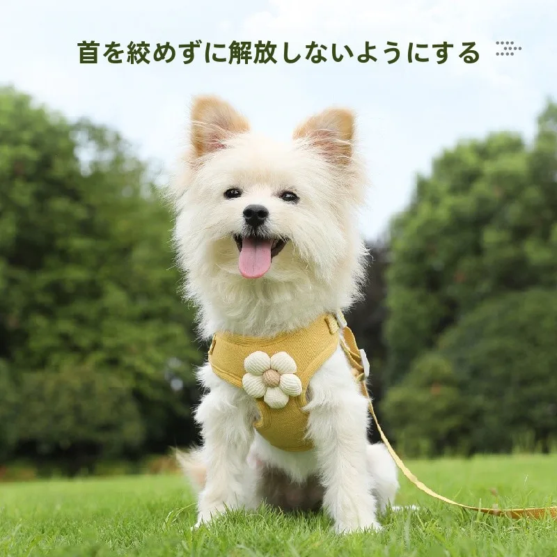 犬のお散歩グッズをコスパ良く揃える方法　完全ガイド