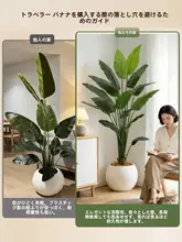 リアルな植物 大型フロアデコレーション 客間 ソファの横 高級ラグジュアリー