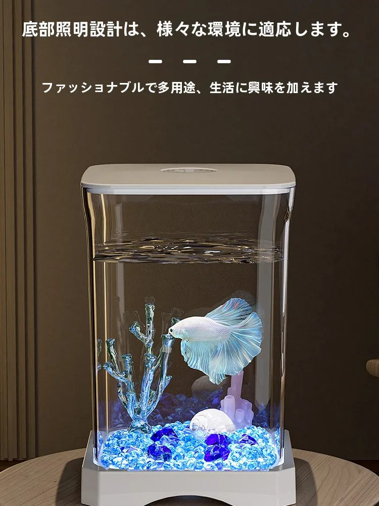 金魚水槽セットを買うなら、どう選ぶべき？