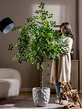 大型の偽造植物 榆钱樹 榕樹 屋内 リビング 高級 フロア ポットの偽樹 装飾品 雰囲気のアイテム