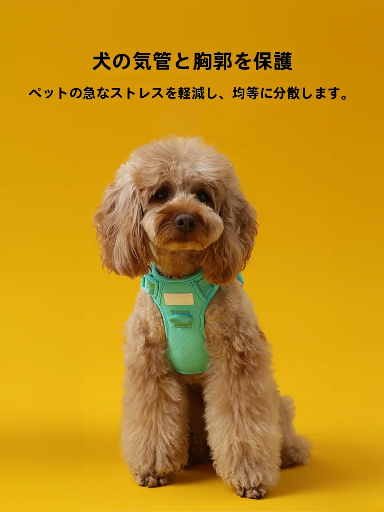 犬のお散歩グッズをコスパ良く揃える方法 - メッシュ式ハーネスの定義と選定基準