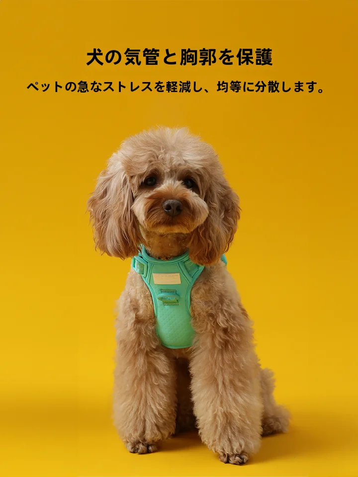 犬用ハーネス【メッシュ式・コーギー・柴犬対応・薄荷緑】