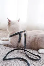 犬用お散歩リード【猫用・反脱落設計・安全ハーネス・小型犬向け】
