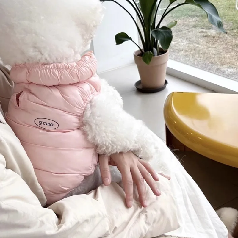 犬用服 秋冬 テディ マイクロ ポケット ベア 保温機能付き