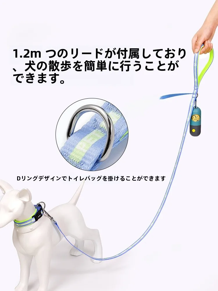 犬のお散歩グッズをコスパ良く揃える方法｜テディベア風リードの実測ガイド