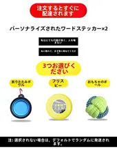 中型犬用ハーネスリード【胸部サポート・散歩用】
