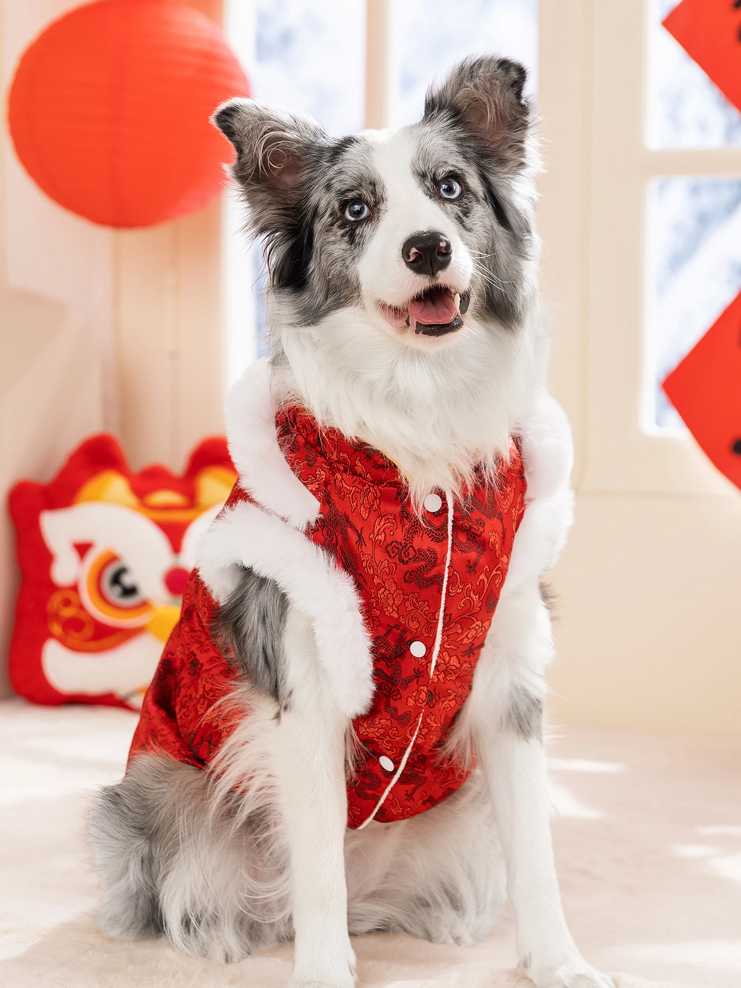大型犬用冬用唐装：中国风马甲如何应对寒冷季节的保暖需求