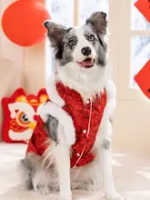 大型犬用 冬用唐装【保温・金毛・ボーダーコリー対応】