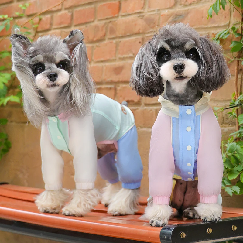 犬のお散歩グッズをコスパ良く揃える方法　完全ガイド