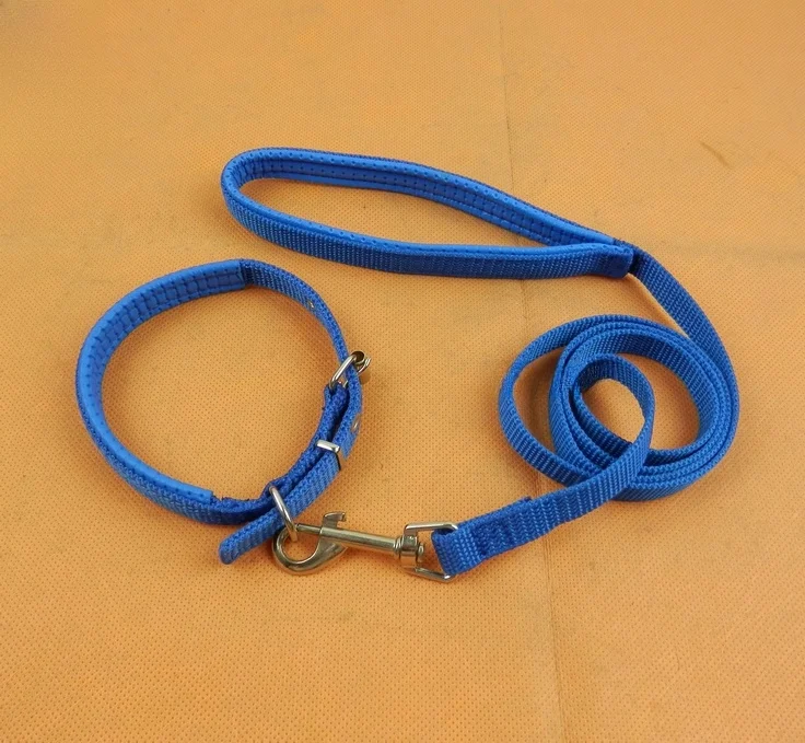 犬のお散歩グッズをコスパ良く揃える方法　完全ガイド