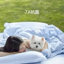 洗える夏用シルク掛け布団【極上の柔らかさ・女性向け】