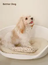 ペット用冷却マット【猫犬兼用・夏季用・持ち運びに便利・冷却ボックスセット】