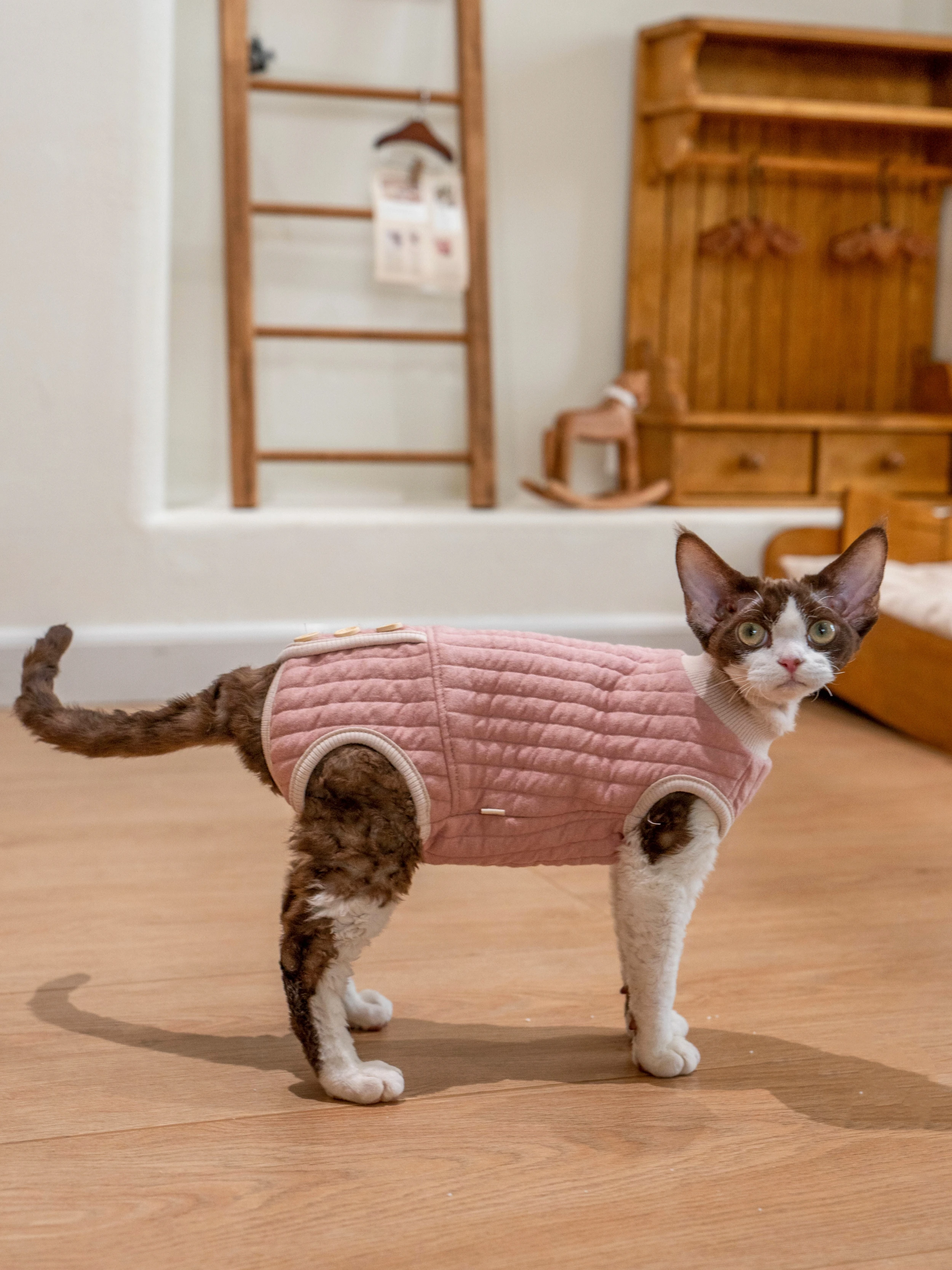 猫飼いが買ってよかったもの・悪かったもの正直に言う｜無脚保温スウェットシャツの実際の効果と選び方