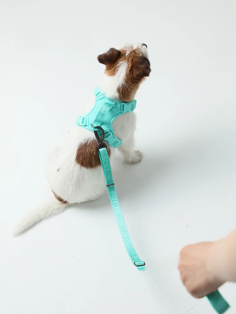 犬のお散歩グッズをコスパ良く揃える方法 - メッシュ式ハーネスの定義と選定基準
