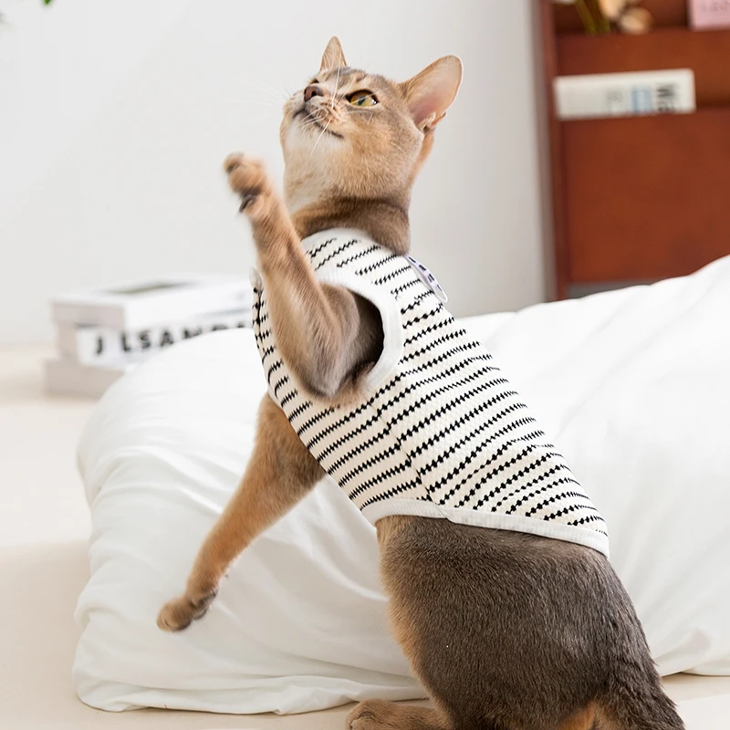 猫飼いが買ってよかったもの・悪かったもの正直に言う｜春夏服の実測ガイド