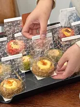 チョコレートマフィン用紙カップケーキ包装袋【自封タイプ】