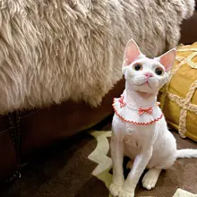 夏用 猫用リボン付きスカーフ【デザイン・可愛い・Yorkshireスタイル】
