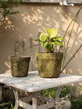 ユニークな苔風セメント製植木鉢【大口径・通気性・屋外庭園用・アートデコレーション】