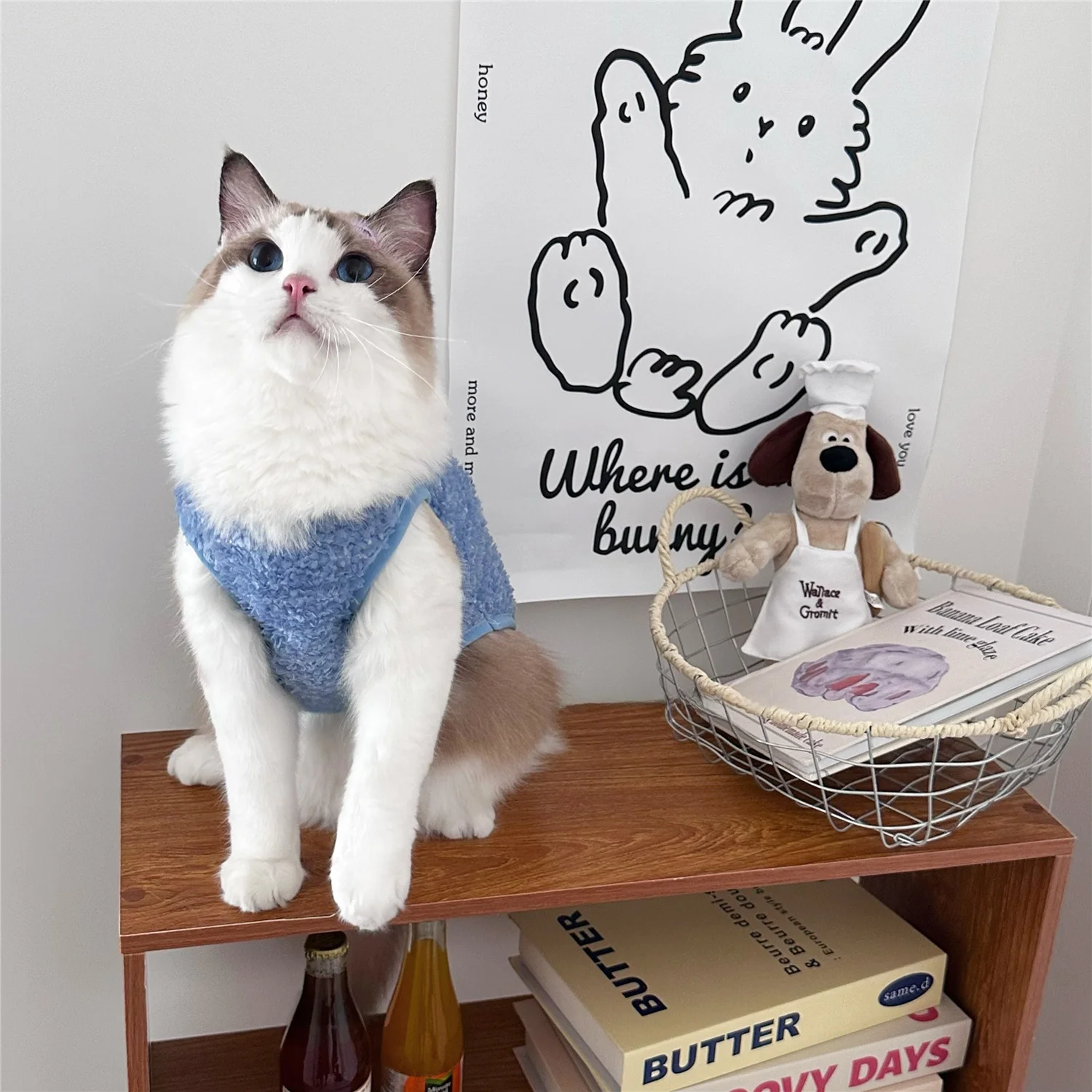 秋冬用かわいい犬猫用衣服：温かいフリー スベストの実用性とシーン別適用