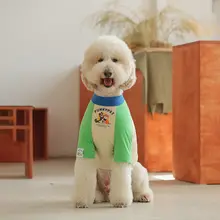 カラフルなカートゥーンデザインの犬用Tシャツ【春夏用・薄手・中大型犬対応】（セットアップ対応）